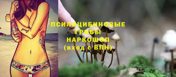 MESCALINE Аркадак