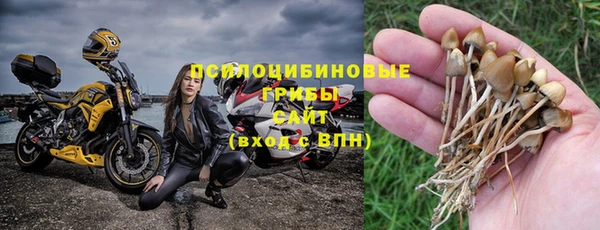 хмурый Балахна