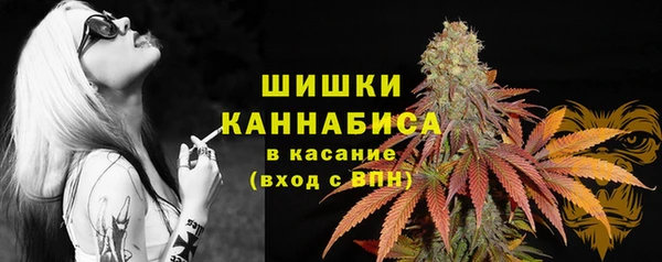spice Балабаново